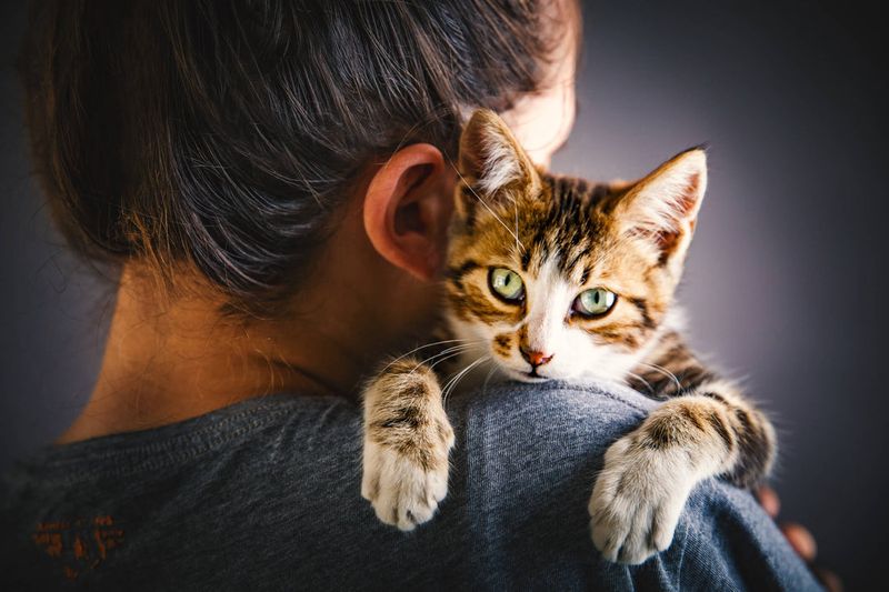 Clinginess Or Unusual Independence