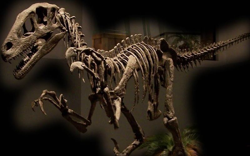 Deinonychus