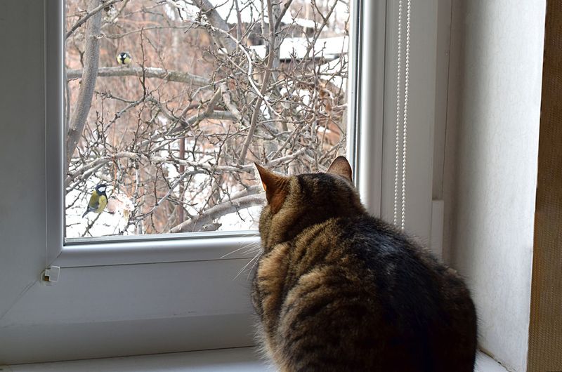 Patience In Pursuit