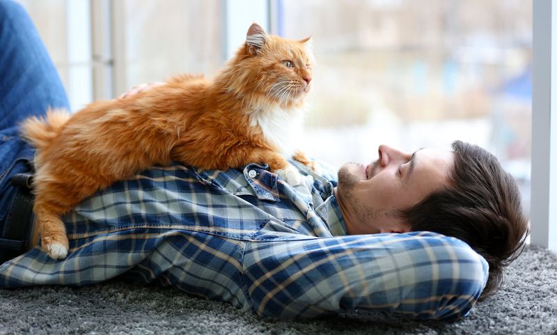 Human Relationship Dynamics