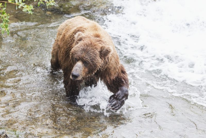 Alaska