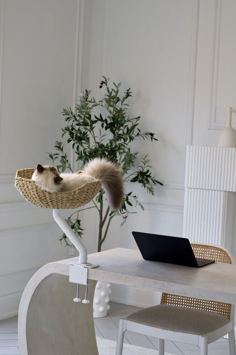 Your Workspace