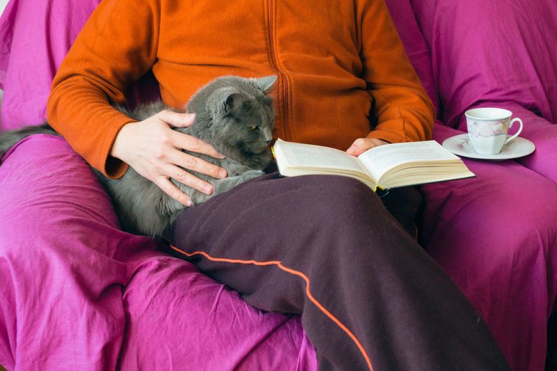 The Reading Or TV Companion