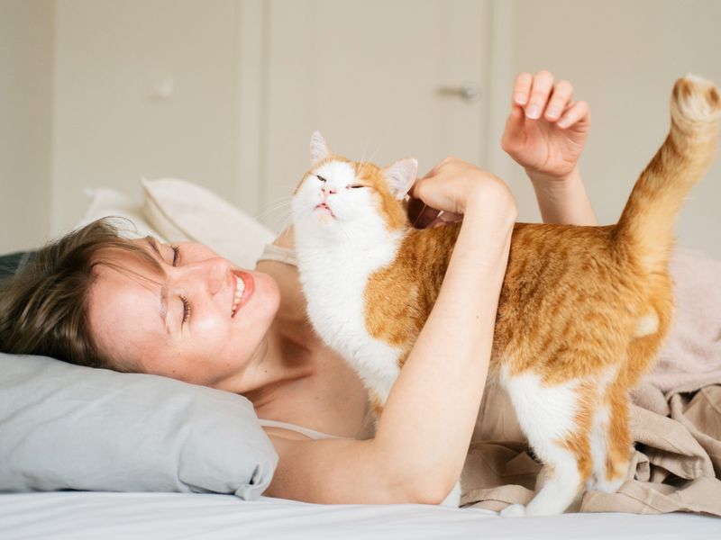 Morning Wake-Up Rituals