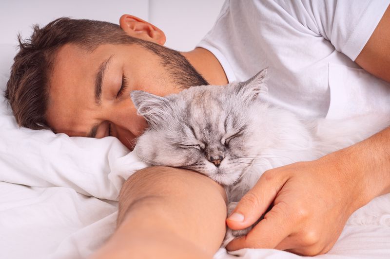 The Snuggle Seeker