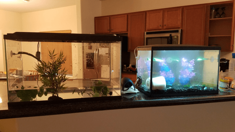 Tank Size Matters