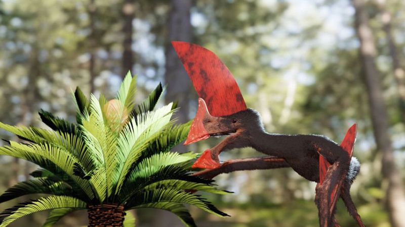 Fossil Evidence: How Scientists Discovered Pterosaurs Had Fur