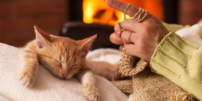 The Warm Lap
