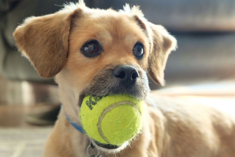 Playful Self-Entertainment