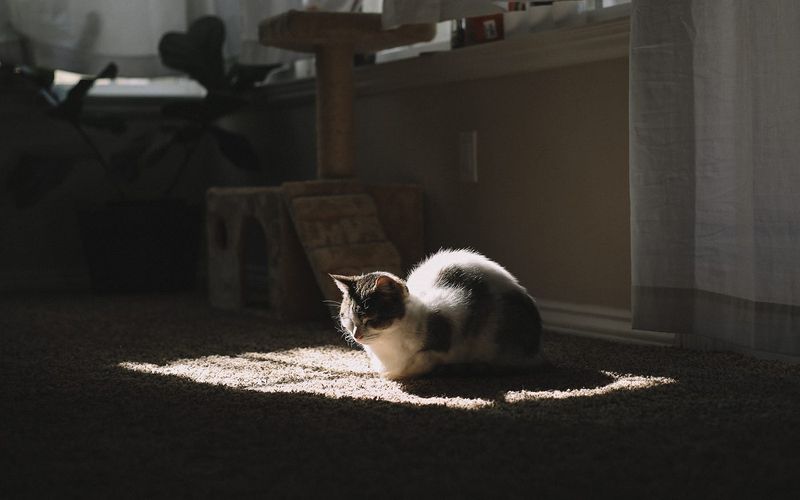 Masters Of Mindfulness