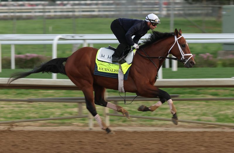The Racecourse Rocket: Thoroughbred