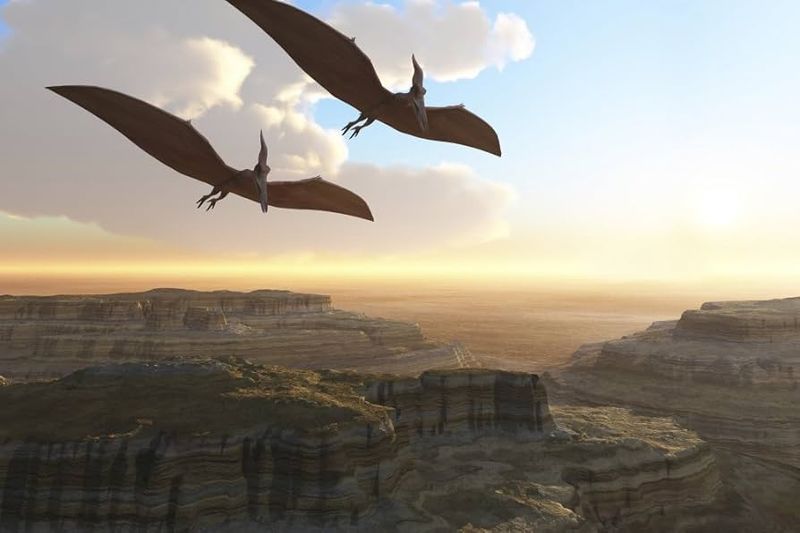 From Land To Air