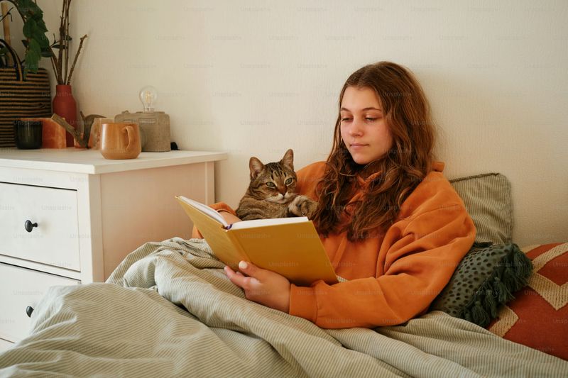 The Bedtime Story