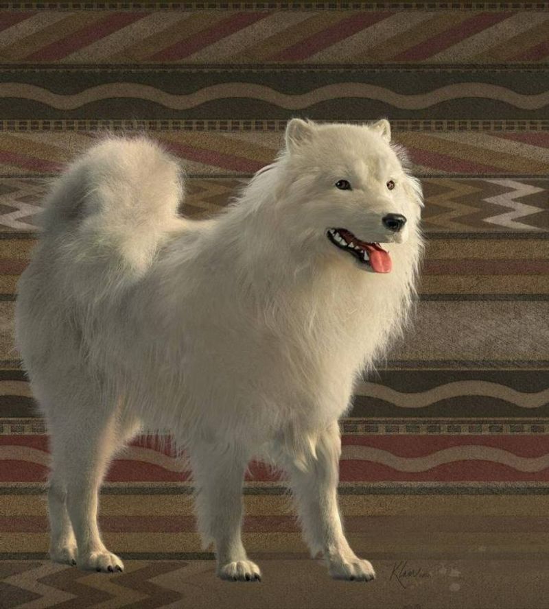 The Salish Wool Dog