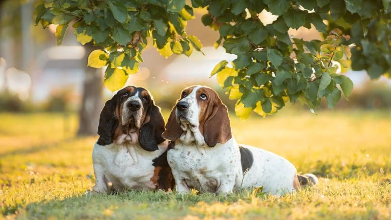 Patience Wrapped In Wrinkles