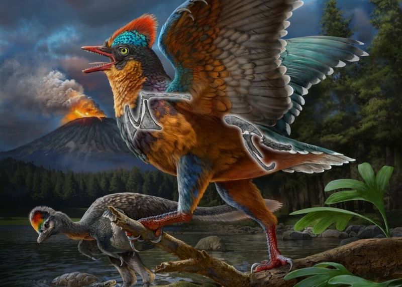 The Jurassic Link