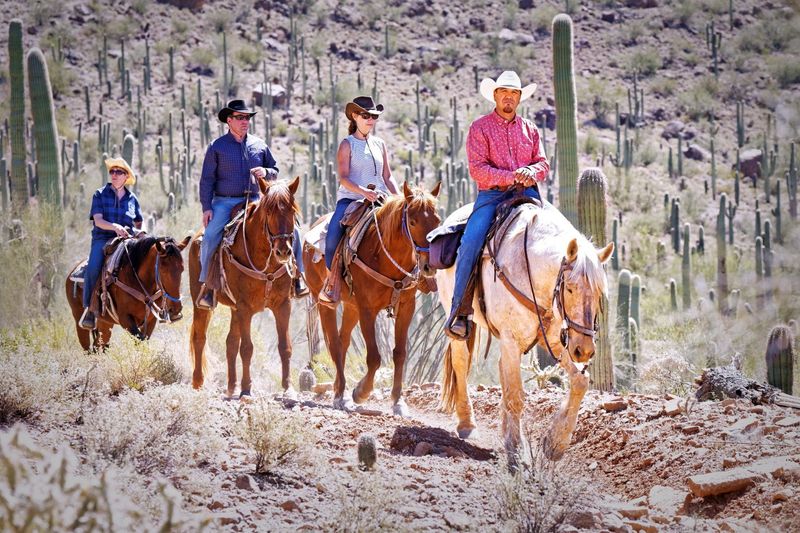 White Stallion Ranch – Arizona's Family-Friendly Western Adventure