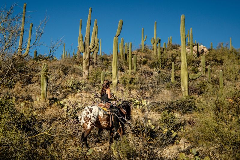 Tanque Verde Ranch – Arizona's Desert Horse Haven