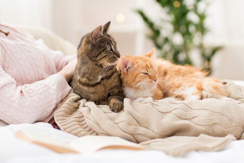 The Winter Cuddle Bug Syndrome