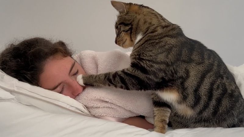 The Early Riser
