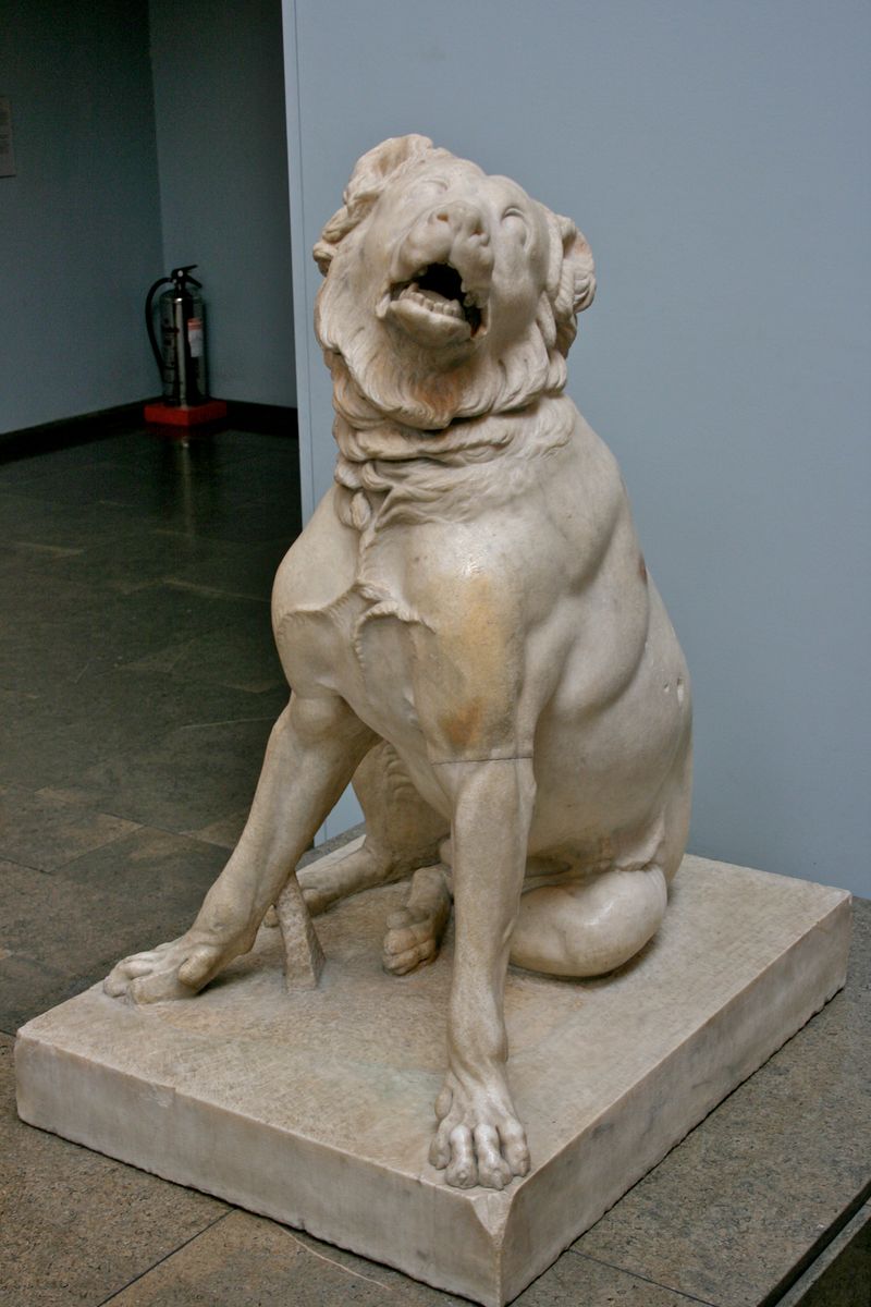 The Molossus