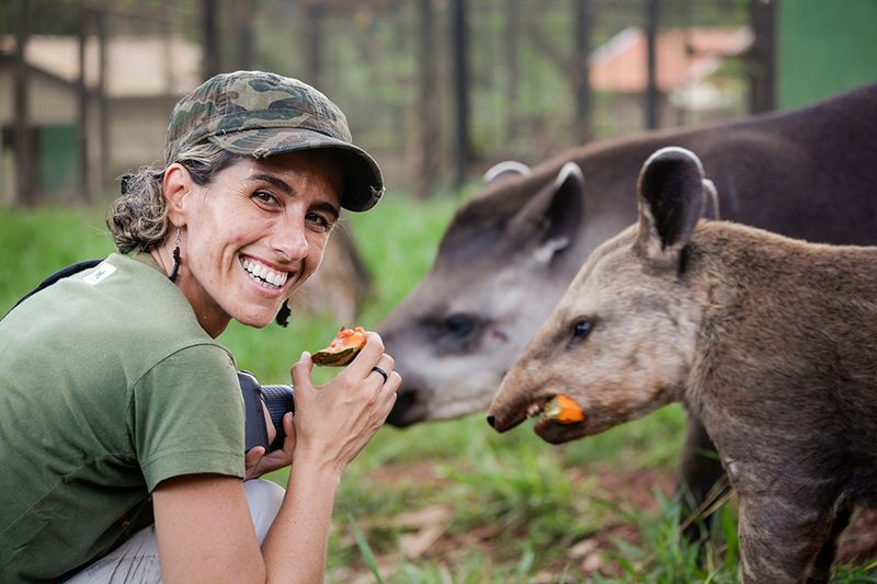 Tapir Conservation Efforts