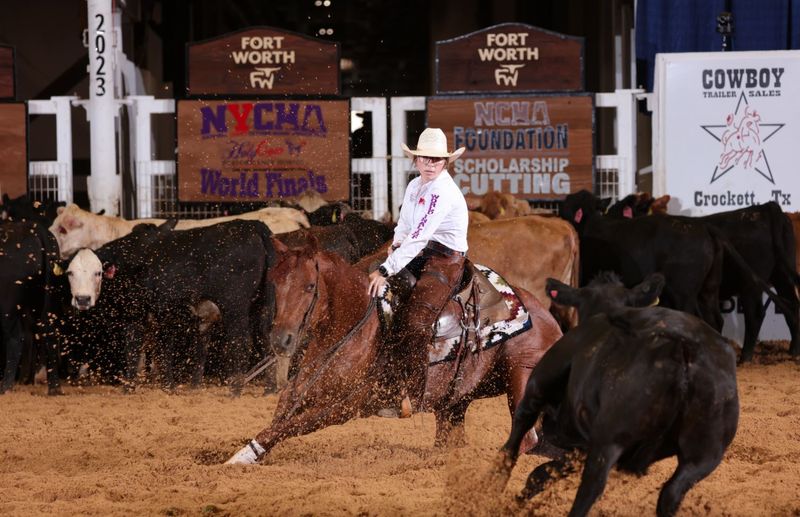 Cutting Horses – The Cattle Separators