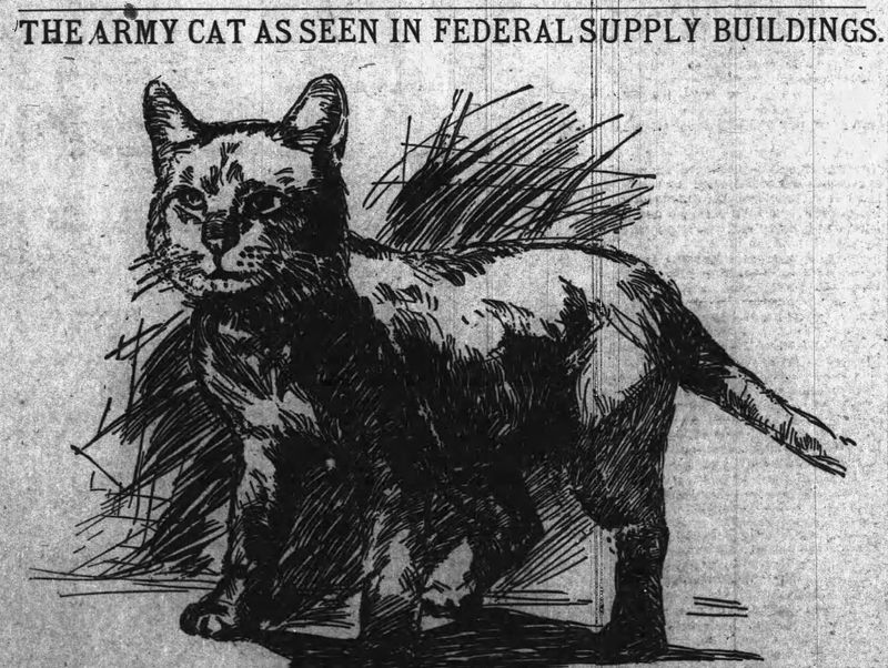 The Battle Of The Rats During The Civil War