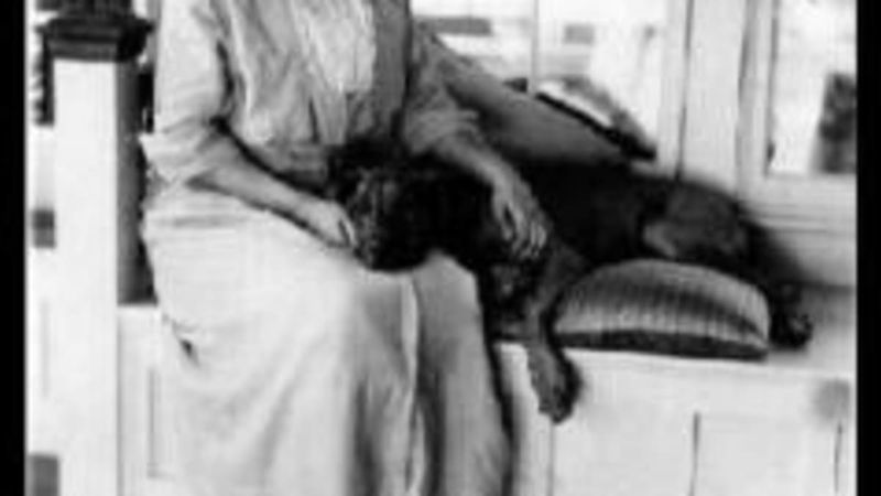 Famous Figures Throughout History Loved Their Pit Bulls