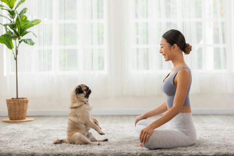 Dog Yoga