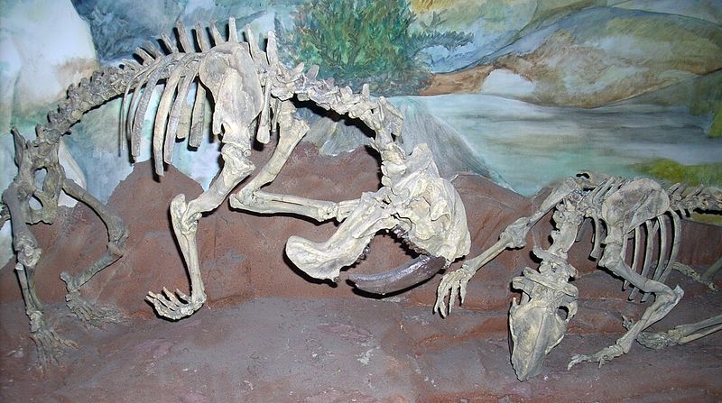 First Discovered In 1934