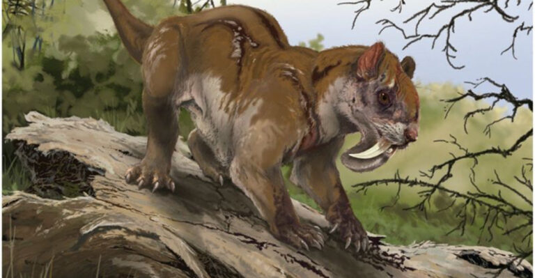 Thylacosmilus: Nature’s Strangest Predator With Saber Fangs And A Pouch