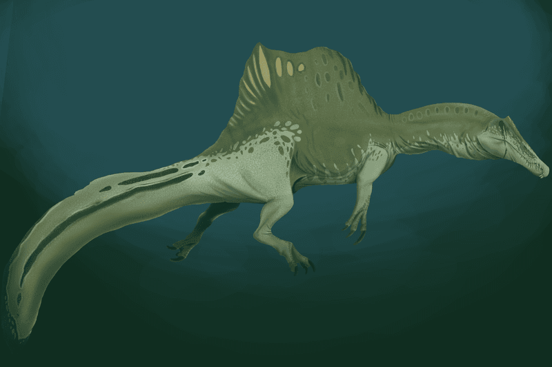 Spinosaurus: The Swimming Dinosaur Nightmare