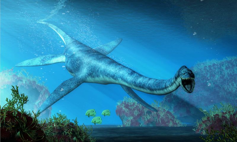 Plesiosaurs