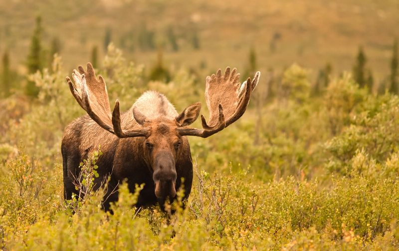 Yukon Flats National Wildlife Refuge