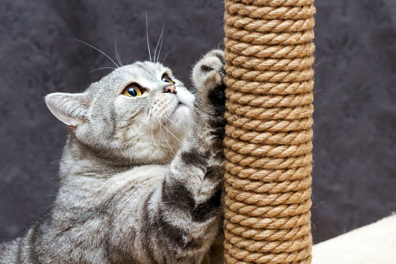 Punishment Creates Fear, Not Learning