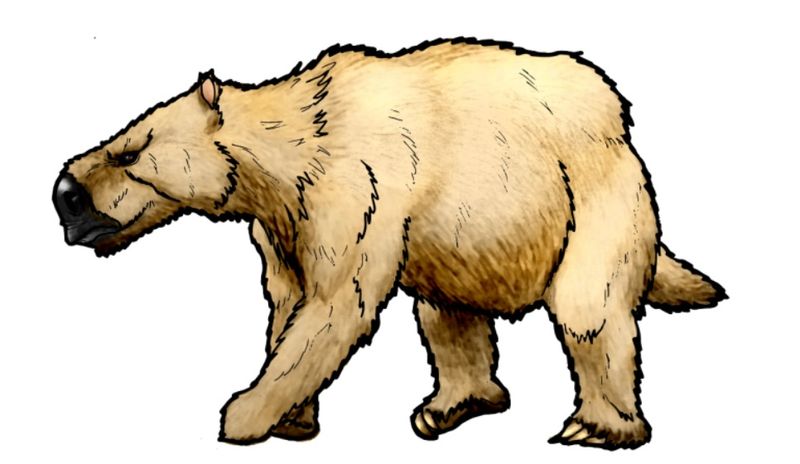 How The Mylodon Shaped Our Understanding Of Ice Age Fauna