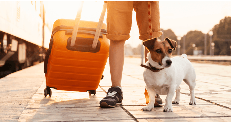 Traveling Troubles