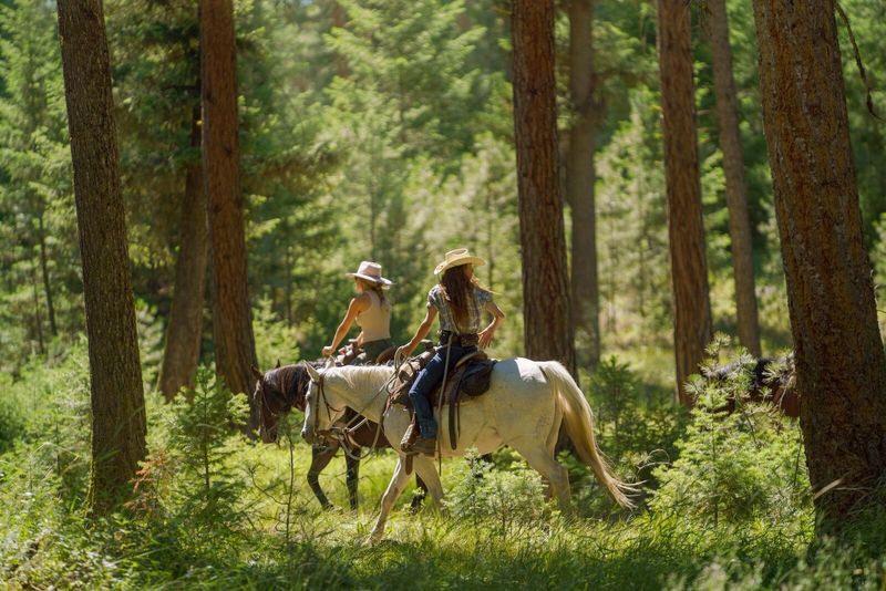 The Resort At Paws Up – Where Luxury Meets Wild West