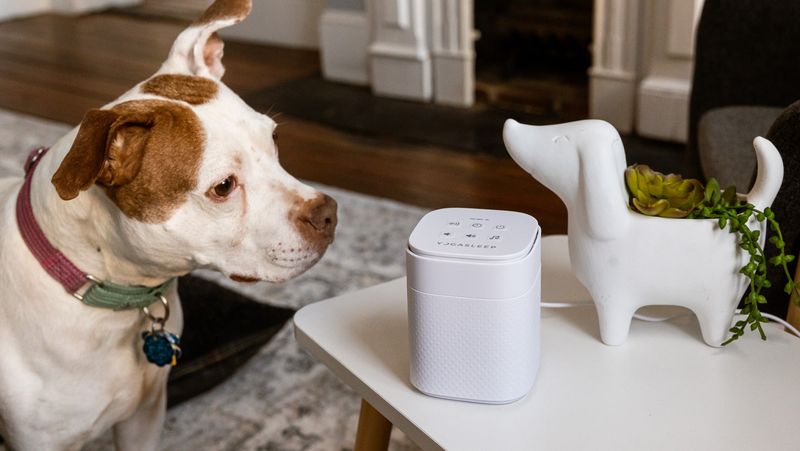 Use White Noise Machines