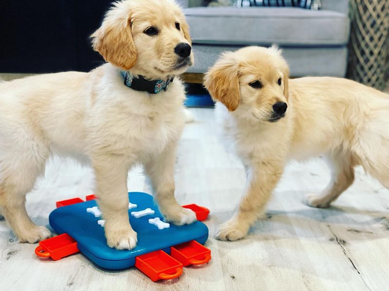 Play Interactive Games