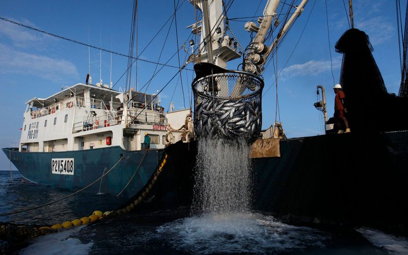 Technological Advances in Tuna Fishing