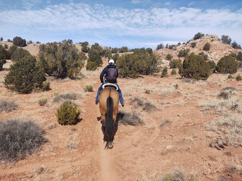 Mix Up Your Riding Routine