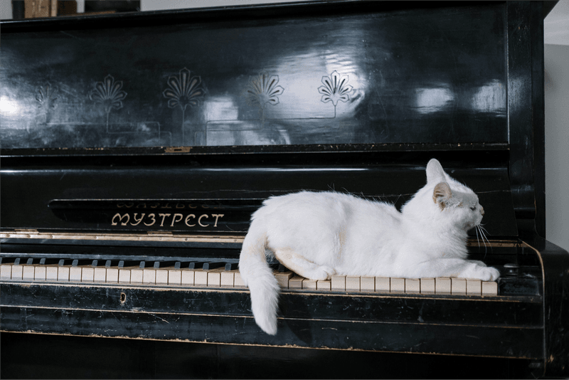 Gentle Sound Therapy