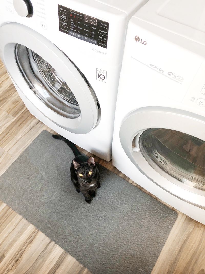 The Laundry Room