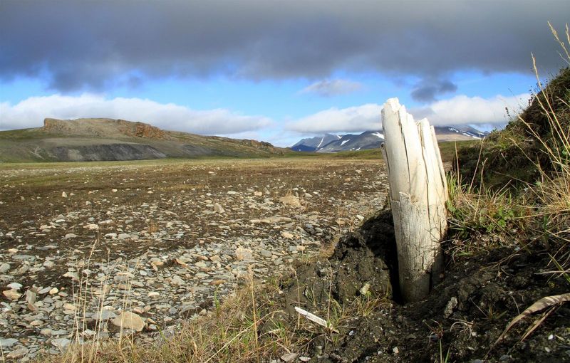 Collaboration Between Climate Scientists
