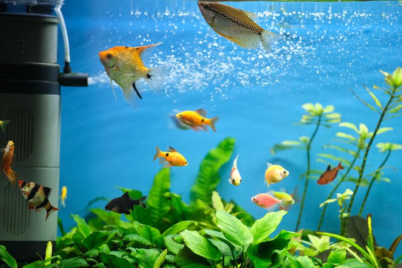 Take Filtration Into Account