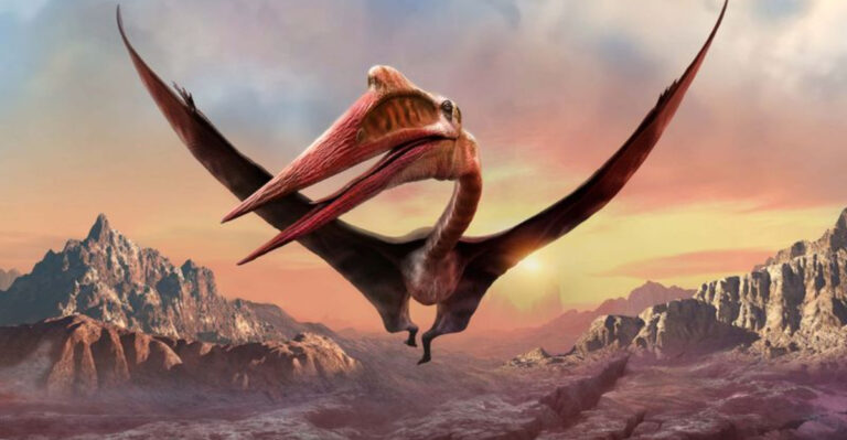 Unearth The Dinosaurs That Lived In Prehistoric Texas