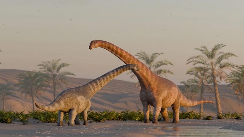 Family Groups Discovered