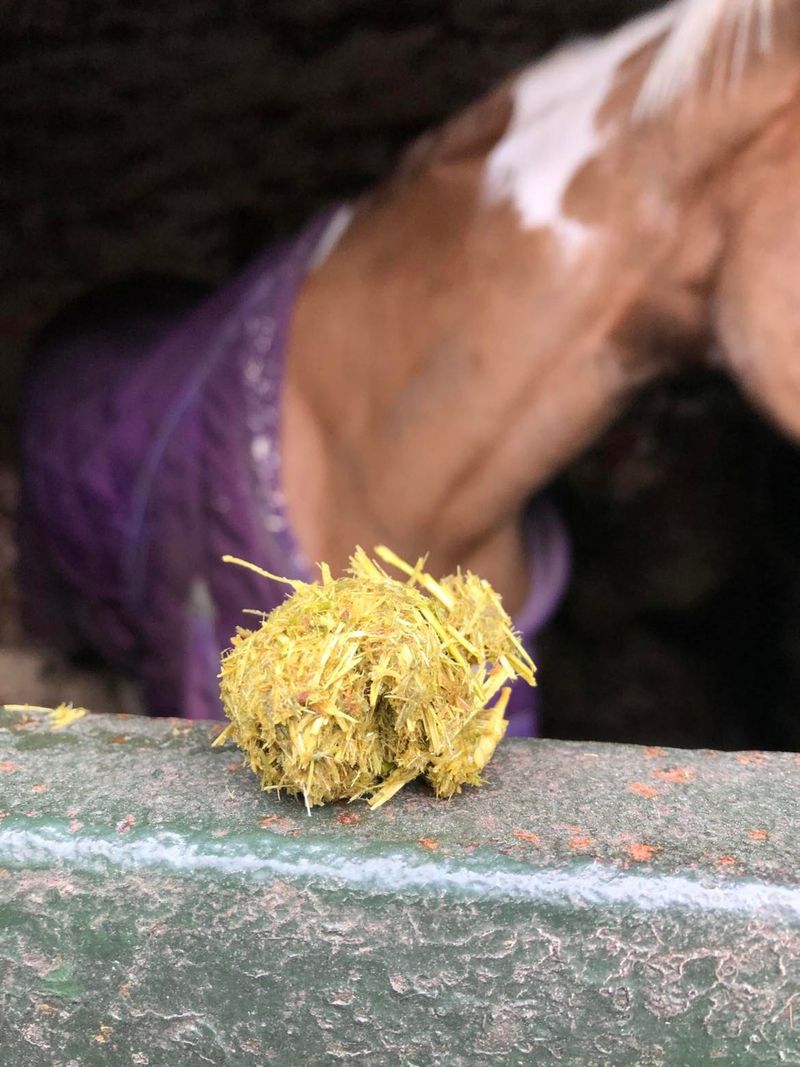 Food Balls Appearing In Feed Bucket